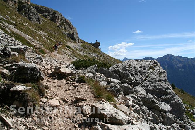 01-Il primo tratto del sentiero dal rifugio Paolina: ci attende un rapace