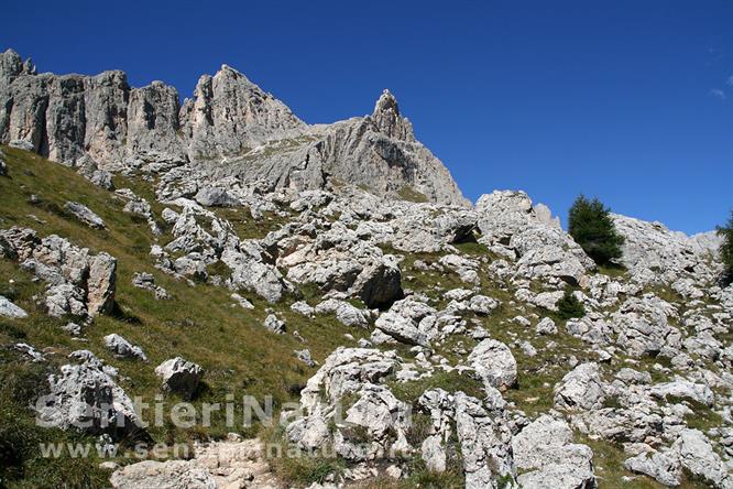 03-L'ambiente naturale nei pressi del rifugio Roda di Vael