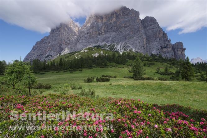 05-La spalla sud del monte Pelmo da I Lac