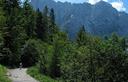 22-La carrareccia di servizio al rifugio Zacchi