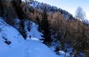 13-Lungo la pista per la malga di Claupa