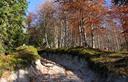 06-Lungo la pista per il ricovero Cima Muli