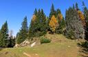 16-La selletta tra Cima Muli ed il monte Acomizza