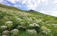 Anello delle Cime di Campo dalla Val Resia