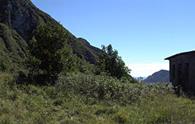 Monte Festa (forcella di) - panorama completo