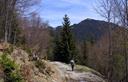 20-Lungo la pista forestale di sella Clinach