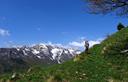 12-Sulle pendici prative del monte Stregone