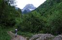 01-Lungo la pista forestale in val Zemola