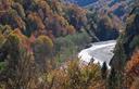 08-Bosco in aspetto autunnale lungo il corso del Tagliamento