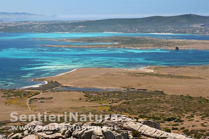07-Le coste meridionali dell'Asinara e l'isola Piana