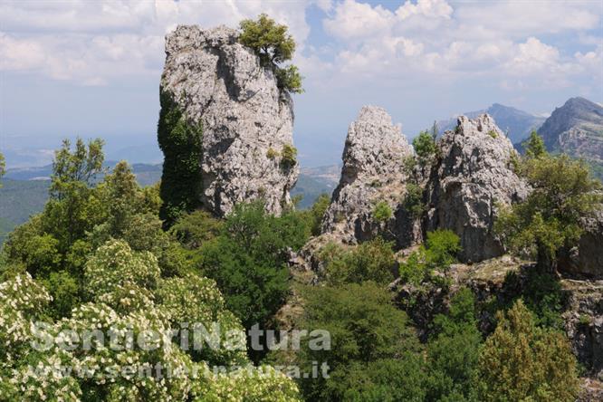 05-Pinnacoli rocciosi presso la sommità del monte Novo