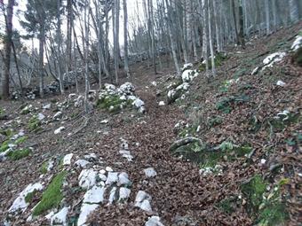 Senza raggiungere l'abbandonata struttura, svoltiamo a destra su sentiero segnalato e costeggiando un altro muro confinario c'inoltriamo nella spoglia faggeta.<br />