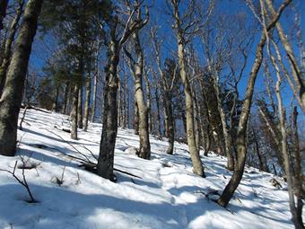 Il tracciato s'impenna ora decisamente lungo il versante orientale e dovremo prestare un po' d'attenzione in caso di abbondante presenza di neve.