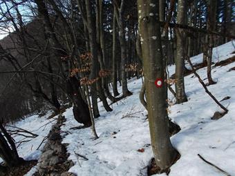 Con pendenza moderata prosegue verso settentrione transitando sotto lo skilift Lokve 2 e dopo un tratto in discesa giunge allo skilift Lokve 1, nei pressi della pista ancora parzialmente in uso.