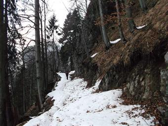 Dopo una piccola perdita di quota, ignorando la prosecuzione a sinistra della carrareccia  iniziamo a salire nella spoglia faggeta lungo una forestale.