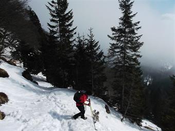 Ricordandoci inoltre di scendere al bivio lungo il tratto di sentiero invernale.