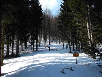 Rasentando  alla nostra sinistra un paio di ampie doline, arriviamo  al bivio successivo, dove svoltiamo ancora a sinistra seguendo una forestale chiusa al traffico non autorizzato con una sbarra e segnalata da un cartello giallo.