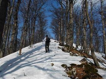 Durante il cammino ritroviamo il segnavia 50, già notato durante l'ascesa lungo la prima  forestale, e seguendolo con una svolta a destra rimontiamo il pendio finale.