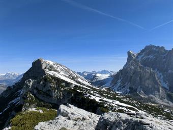 Allora scendo tagliando per le pendici meridionali. Il bosco si fa ripido, tanto che a tratti, in quel labirinto verde, mi trovo a scendere a tergo, utilizzando i mughi come attrezzatura. Ripercorro il pianoro del cason di Col Rean con andamento gasteropo