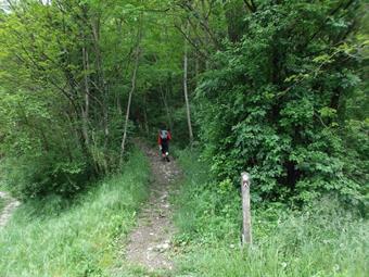 Tralasciando la prosecuzione della carrareccia verso sinistra, imbocchiamo l'evidente sentiero segnalato che in leggera salita ci porta all'interno del bosco.