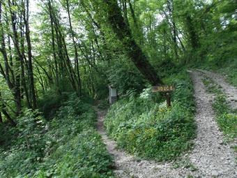 Lasciata la fresca radura la carrareccia continua in falsopiano, rasentando alcuni ingressi di caverne,  fino al bivio successivo, dove svoltiamo a sinistra seguendo l'indicazione diretta a Volce.