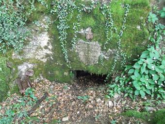 Ad un pronunciato tornante a sinistra abbandoniamo il sentiero segnalato, raggiungendo in breve su terreno a tratti fangoso ed instabile l'ingresso di un'altra cavernetta interrata.