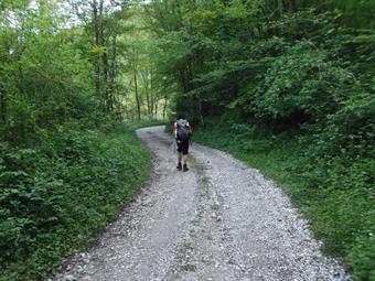 Dall'incrocio una carrareccia a tratti cementata ci riporta con alcune svolte e vari rettilinei fino al parcheggio, dove concludiamo questo intertessante itinerario.