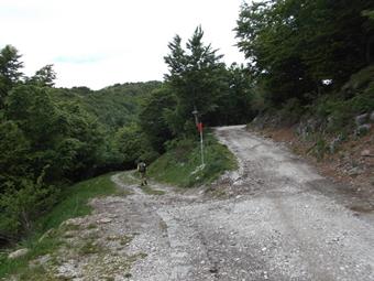 Tralasciando le indicazioni dirette all'Idrska Planina, proseguiamo ancora lungo la carrareccia, rasentando la diruta planina Mrzli Vrh e lo stagno Mrzlica, fino al bivio seguente.
