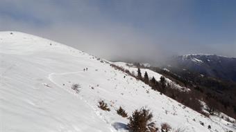 Uno scialpinista ragiunge il passo dai colli più a sud con un laconico stile a spazzaneve. Sento il manto marcio che calpesto e scuoto la testa pensando sia un'allucinazione. Ma non sarà l'unico incontro sciatorio della giornata. Mah! Al passo un altro ca