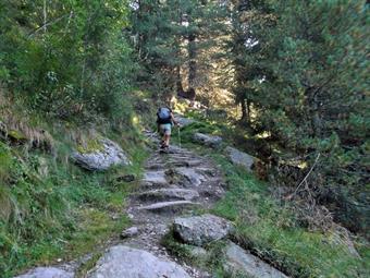 Tralasciando il proseguimento della carrareccia diretta alla Knuttenalm/M.ga dei Dossi, seguiamo a sinistra l'AVS 1, entrando  in breve nella pineta e risalendo con alcuni tratti gradinati  il versante  esposto a meridione.