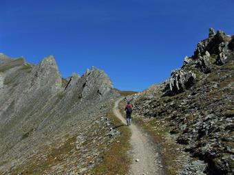 Un'ultima svolta a sinistra ci porta infine all'intaglio dell'Ochsenlenke/Passo dei Bovi, antica via di comunicazione fra le due vallate, maggiormente utilizzato in passato rispetto alla Bretterscharte/Forcella delle Lastre per gli accessi più agevoli.