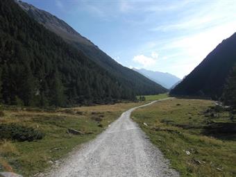 Proseguendo lungo la Knuttental/Valle dei Dossi, ignorando alcune deviazioni a destra e sinistra, arriviamo in poco meno di un'ora al parcheggio, dove si conclude l'escursione odierna.