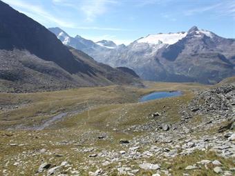 Una lunga discesa su terreno ora più aperto ci porta all'idilliaca conca dei Kofler Seen/Laghi del Covolo, meta piuttosto frequentata nella bella stagione con partenza dalla sottostante Rein in Taufers/Riva di Tures.