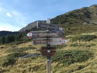 Valicato il cancello dell'alpeggio, troviamo a poca distanza l'importante bivio con le indicazioni dell' Hartdegenweg/Via Hartdegen, inaugurato nel lontano 1910 e collegante in origine il Kasselerhütte/Rifugio Roma con il Barmerhütte nel vicino Osttirol/T