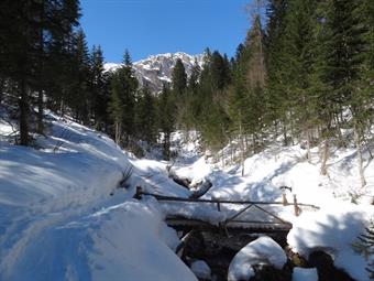 La carrareccia soleggiata presto si fa troi ed il bosco incomincia a sussurrar le sue favole, ma l'acqua del rio non se ne cura, trasformando in caciara la sua fuga verso valle. Dall'altro lato della riva, un piccolo dosso o un masso, è completamente rico