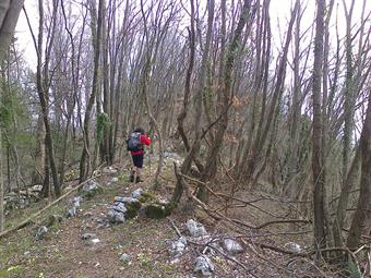 Il percorso a volte sinuoso continua all’interno del bosco, rasentando alcuni  colli, giungendo infine al belvedere di “Somp Čuc”, dove è possibile godere di un panorama eccezionale sull’abitato  e sull’intera pianura friulana. 