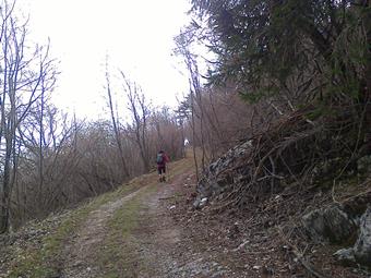 Il cancello risulta  in parte scardinato e tralasciando alla nostra destra le incerte tracce di sentiero dirette lungo la cresta nordorientale del M. Pala, continuiamo a seguire l'ampio tracciato della forestale, transitando in una zona recentemente disbo