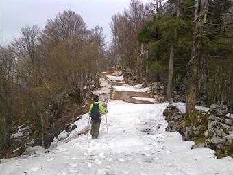 Ci troviamo quindi su una carrareccia di recente apertura, proveniente   dalla  sottostante Malga Polpazza e diretta lungo la dorsale sommitale del  monte.