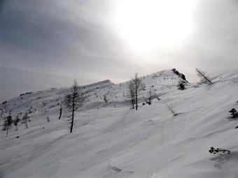 Una volta arrivati al rifugio ed iniziato a deglutire lo splendido panorama, si può scegliere la meta con tutta calma. Il Col del Fer (2019 mt) è quel dosso boscato con la cima cornuta e glabra, giusto sulla destra del Antelao, posto in secondo piano. Met