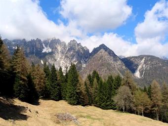 Si riprende a salire nel bosco fino ad un altro bivio in località Col: a sinistra la scorciatoia a destra il troi che porta al cartello che indica la prosecuzione del 495 verso casera Pecol da utilizzare per il ritorno. Preso invece a sinistra, porta  con