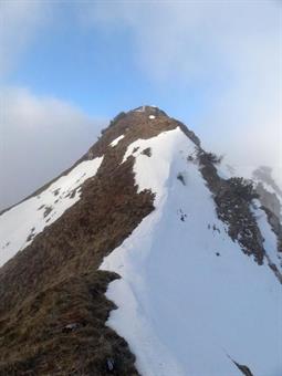 In assenza di neve si raggiunge facilmente il Campedel per i troi bollinati, affacciandosi o da forcella Sesarola o dalla Pezzei. Dal catino ci si muove per tracce. La cima, che presenta un cartello che illustra i dismessi sentieri Cai, si raggiunge affac