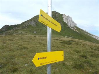 Raggiungiamo infine il Niedergailerjoch dove, ignorando le indicazioni dirette a Niedergail ed al Passo Giramondo, imbocchiamo un sentierino senza segnavia, rientrando in breve al Passo Bordaglia.