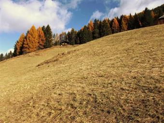 Tralasciando per ora a sinistra l'AVS 16A, diretto alla Gönner Alm/M.ga Protetta ed al Rammelstein/Montone, proseguiamo diritti verso le Erdpyramiden/Piramidi di Terra, rasentando la radura prativa dei masi  Höllerhöfen/Masi dell'Antro.