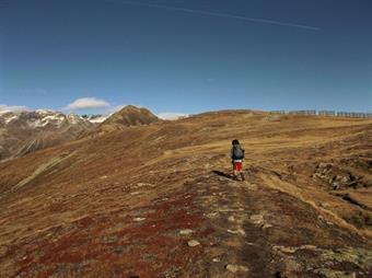 Quindi tenendosi sul versante occidentale  dell'Hochnall/M.Nalle sfiora alcuni paravalanghe in legno installati per proteggere dalle slavine gli alpeggi della sottostante Wielental/Valle di Vila.