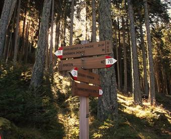 L'ampio sentiero segnalato incrocia poco dopo trasversalmente una forestale  proveniente da Tesselberg/Montassilone e diretta a Oberwielenbach/Vila di Sopra.
