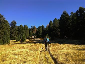 L'ampio tracciato risale lungamente il Rabwald/Bosco Riva raggiungendo infine un'ampia radura un tempo adibita al pascolo estivo degli armenti, poco sopra i 2000 metri denominata Ursprung/Fonte.<br />