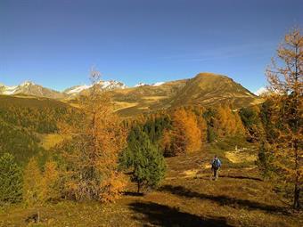 Ritornati al sentiero proseguiamo verso settentrione uscendo su radure sempre più ampie, arrivando ad un bivio con l'AVS 7A, diretto alla sottostante Tesselberger Alm/M.ga di Montassilone.