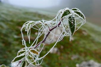 LATO B (emotional side)<br /><br /><br />La mattina ci accoglie cupa e nebbiosa. Il bosco appare quasi tetro, scompigliato e disordinato, come se si fosse mosso anche lui, attratto come le maree dal magnetismo lunare, per poi tornare al proprio posto in f