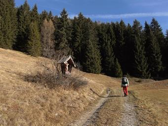 Dalle ultime case, abbandonato definitivamente l'asfalto, imbocchiamo nei pressi di un crocifisso in legno la diramazione sinistra della forestale, entrando nel Fronstadlwald.