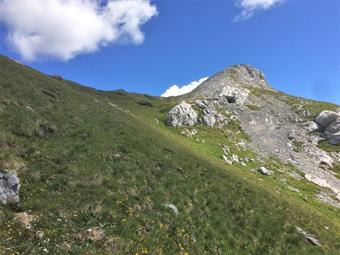 Un lungo traverso porta in vista della verdeggiante Forcella Righile a 2363 metri di quota ed alla dorsale occidentale del M. Olbe.